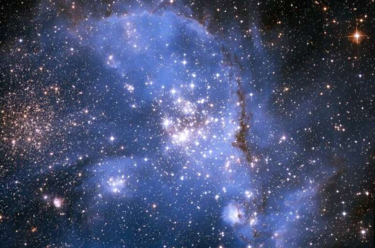 First detection of massive magnetic stars outside our galaxy

