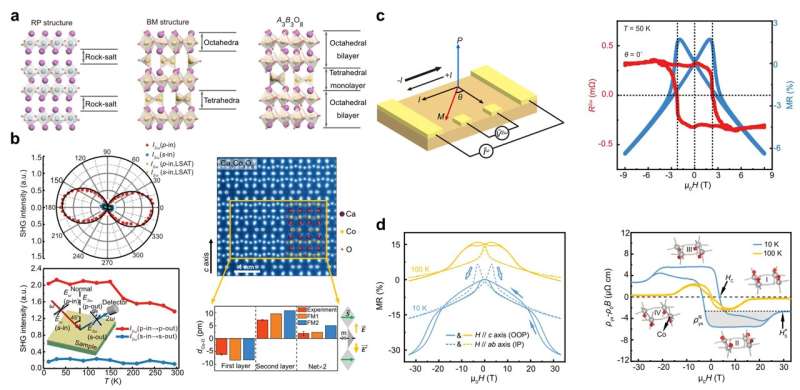 Researchers find that high magnetic field facilitates new ferromagnetic polar metals