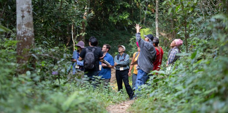 How Indigenous Knowledge is Shaping Modern Environmental Conservation