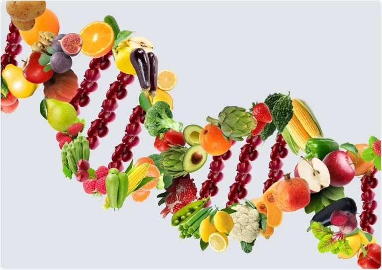 Genetics and Nutrition: How Your DNA Can Inform Your Diet