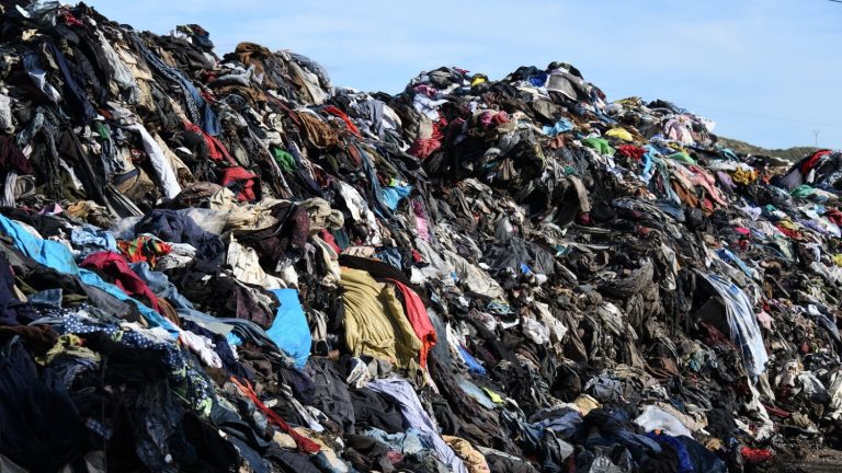 The Impact of Fast Fashion on the Environment: Can the Industry Change?