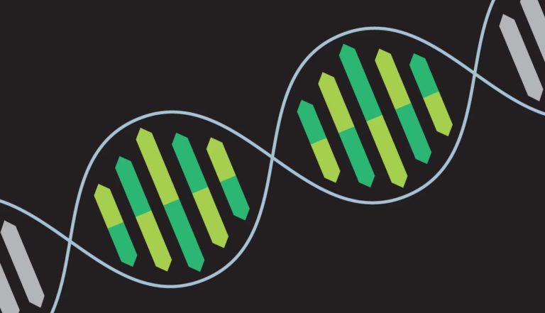 The Ethical Implications of Gene Editing in Embryos: Where Do We Draw the Line?