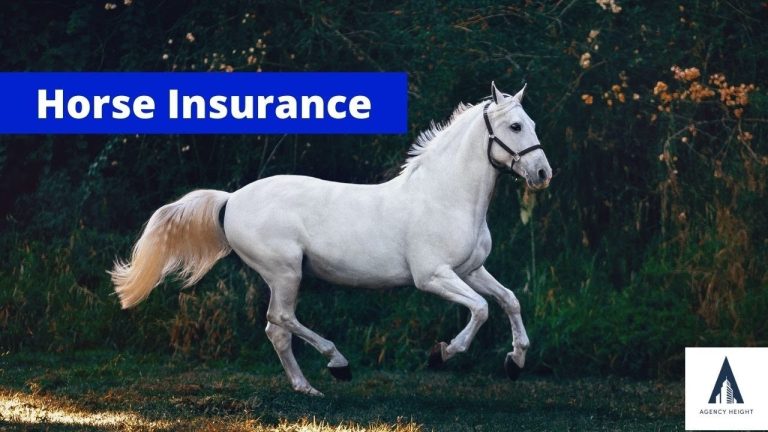 The Benefits of Equine and Livestock Insurance