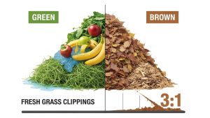 Understanding the balance of greens and browns is the first rule of composting for beginners.