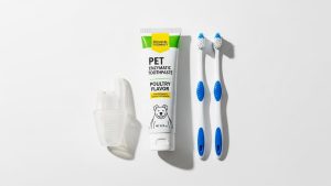 Choosing the right enzymatic toothpaste is essential for a safe pet dental care guide.