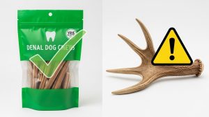 Choosing VOHC-approved products is a vital tip in any pet dental care guide.