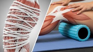 Addressing fascia health is often overlooked when learning stretching for flexibility.